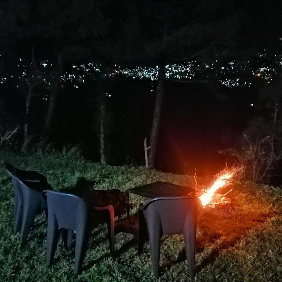 The City Escape Farmstay شيملا المظهر الخارجي الصورة