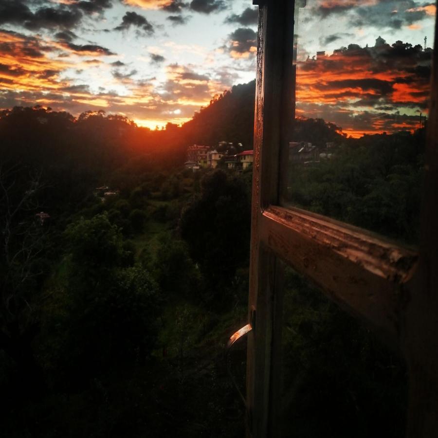 The City Escape Farmstay شيملا المظهر الخارجي الصورة