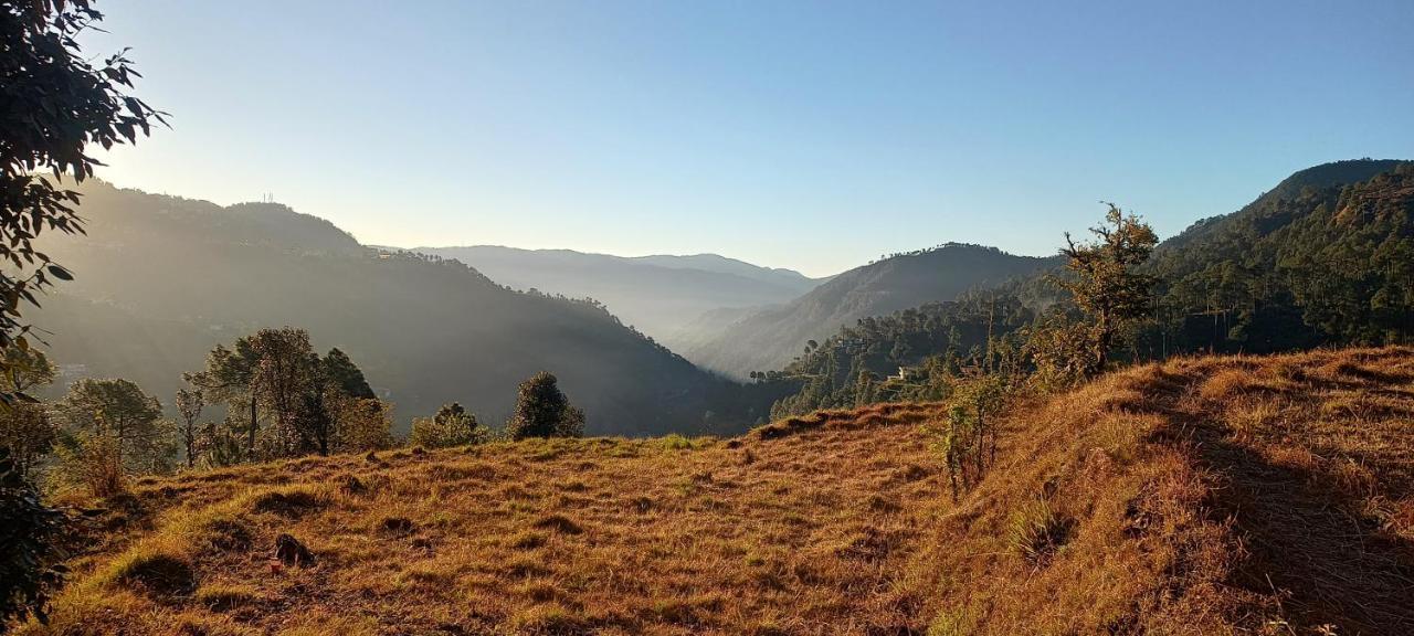 The City Escape Farmstay شيملا المظهر الخارجي الصورة